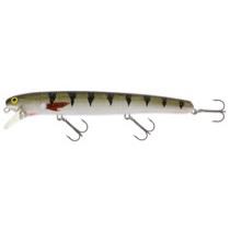 WESTIN JÄTTE - 23 cm / 101 g. - Naturlig abborre